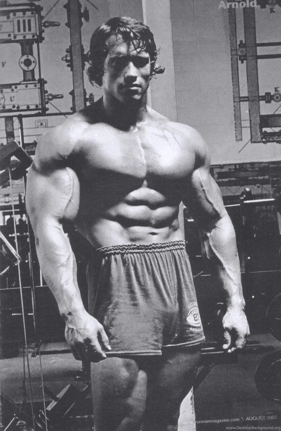 Arnold Schwarzenegger – The Best Gallery Of This Fitness ...