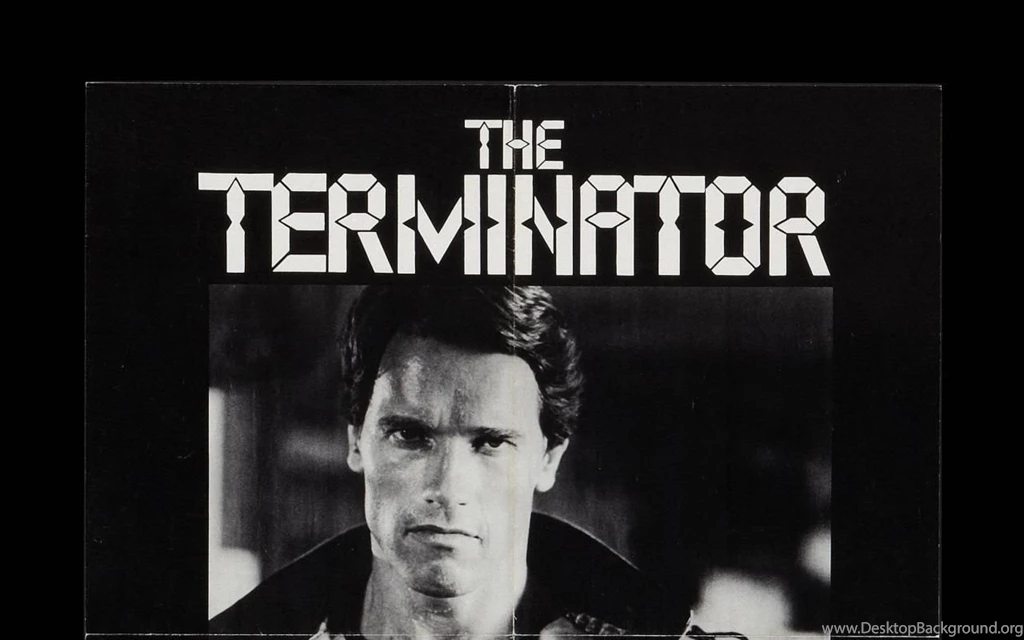 Terminator Arnold Schwarzenegger Wallpapers   (