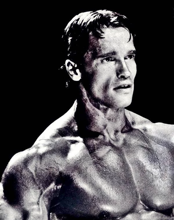 Arnold Schwarzenegger Wallpapers And Unseen Fitness ...