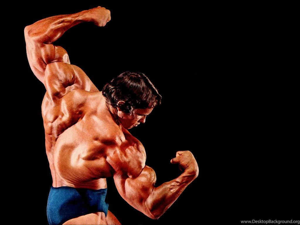 Wallpapers Fitness De Arnold Schwarzenegger Culturismo 1024x768 ...