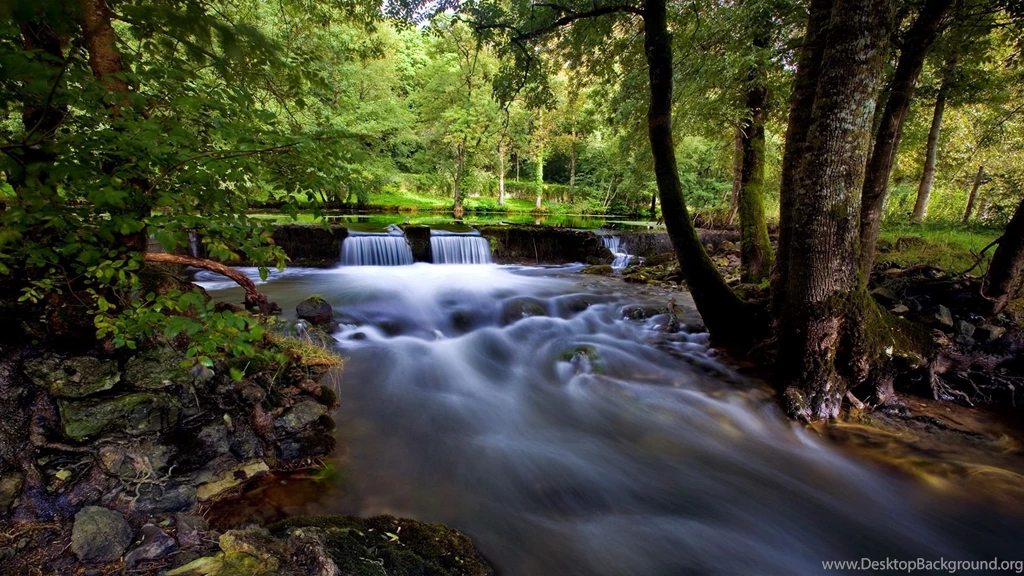 Nature Best Wallpapers HD