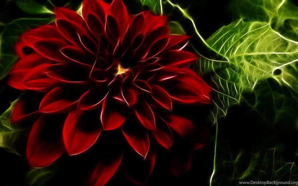 Flowers Wallpapers   HD Desktop Backgrounds   Page 26