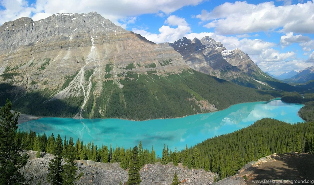 What's The Best Desktop Backgrounds You've Ever Had/seen? : Reddit.com