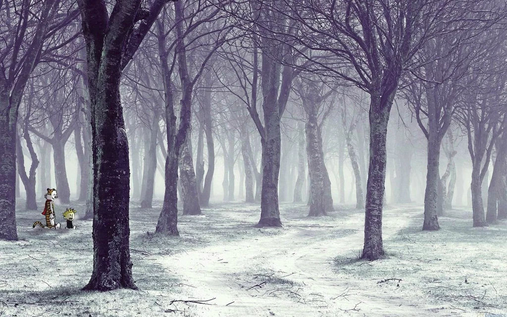 Calvin And Hobbes Wallpapers Album On Imgur