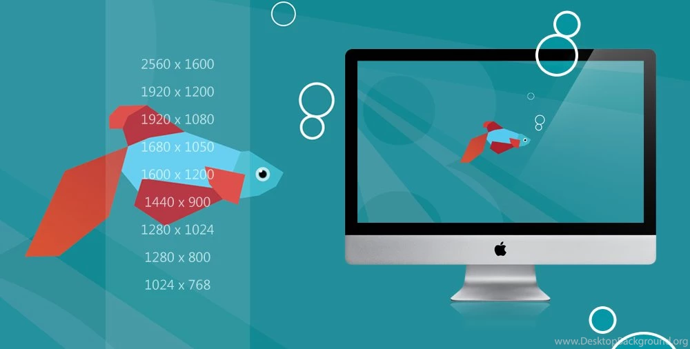 Windows 8 : Beta Fish Wallpapers Pack By Draganja On DeviantArt