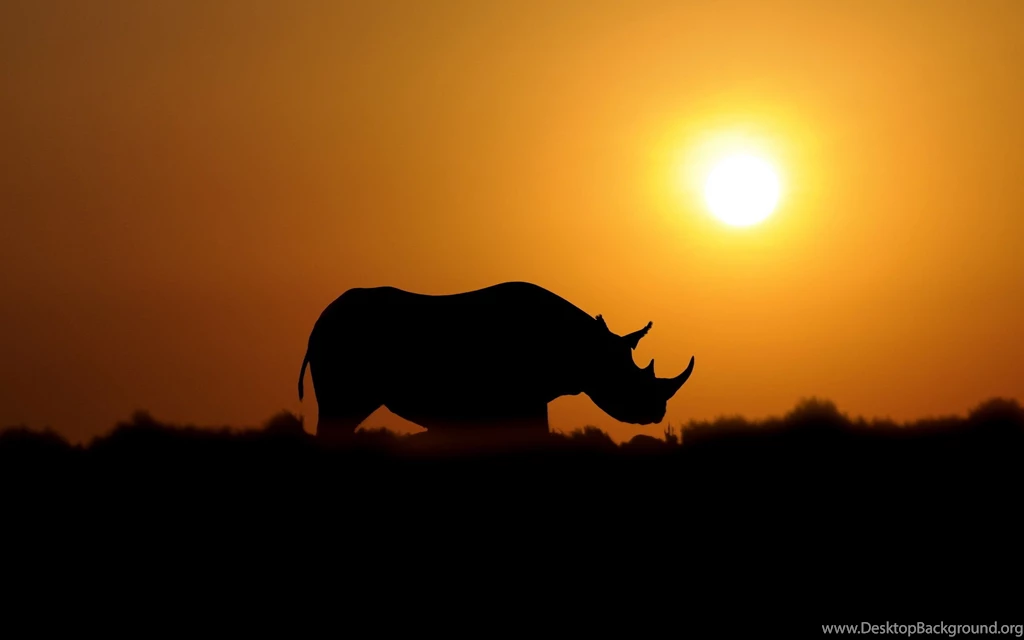 Rhino HD Wallpaper, Rhinos Pictures Free, New Wallpapers