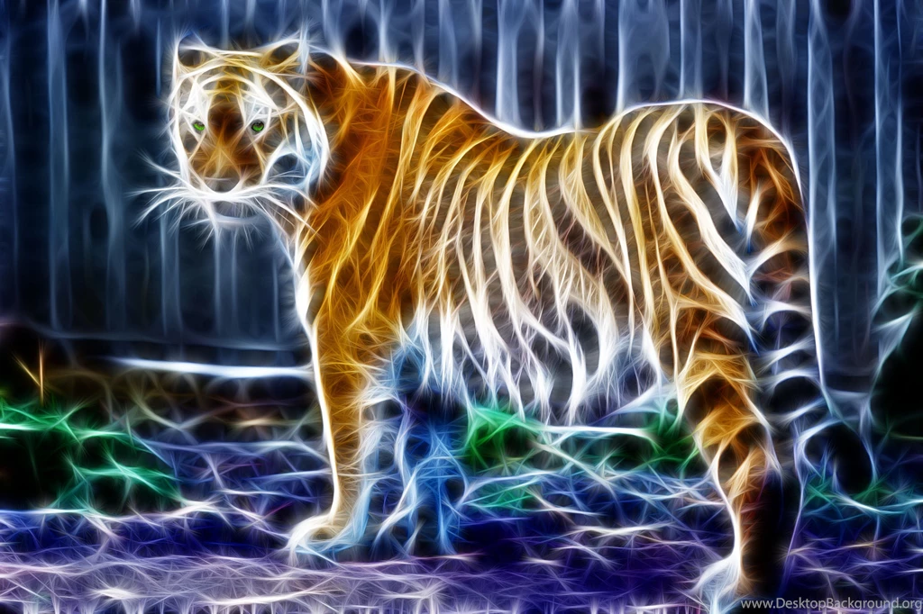 Tiger Computer Wallpapers, Desktop Backgrounds