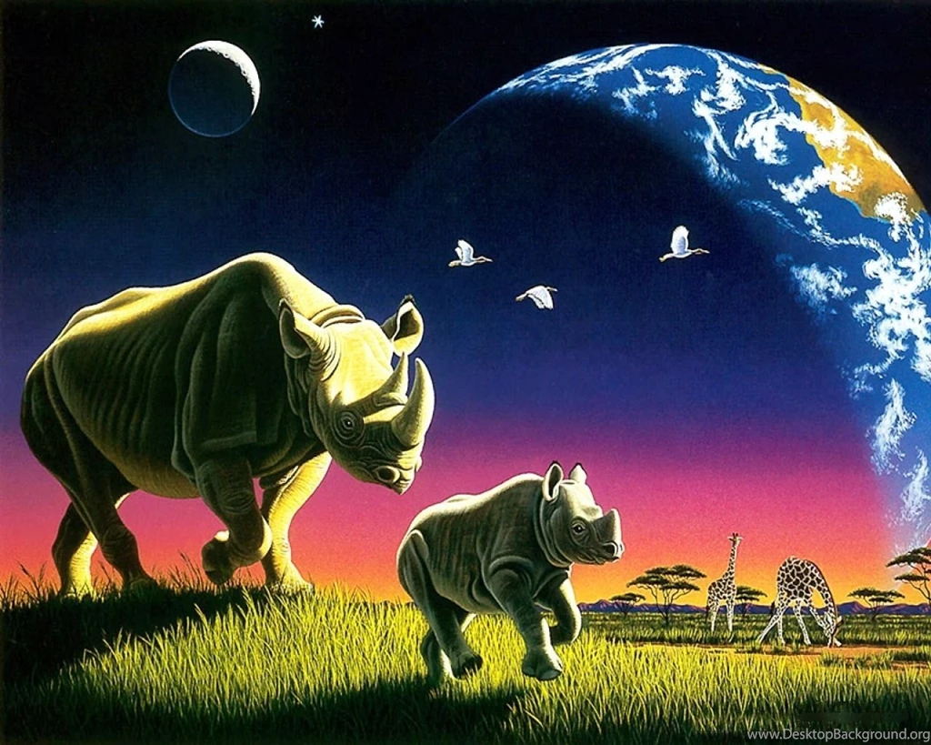 Rhinoceros Wallpapers Wallpapers HD Wallpapers 3123