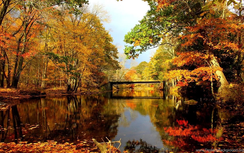 Autumn Lake