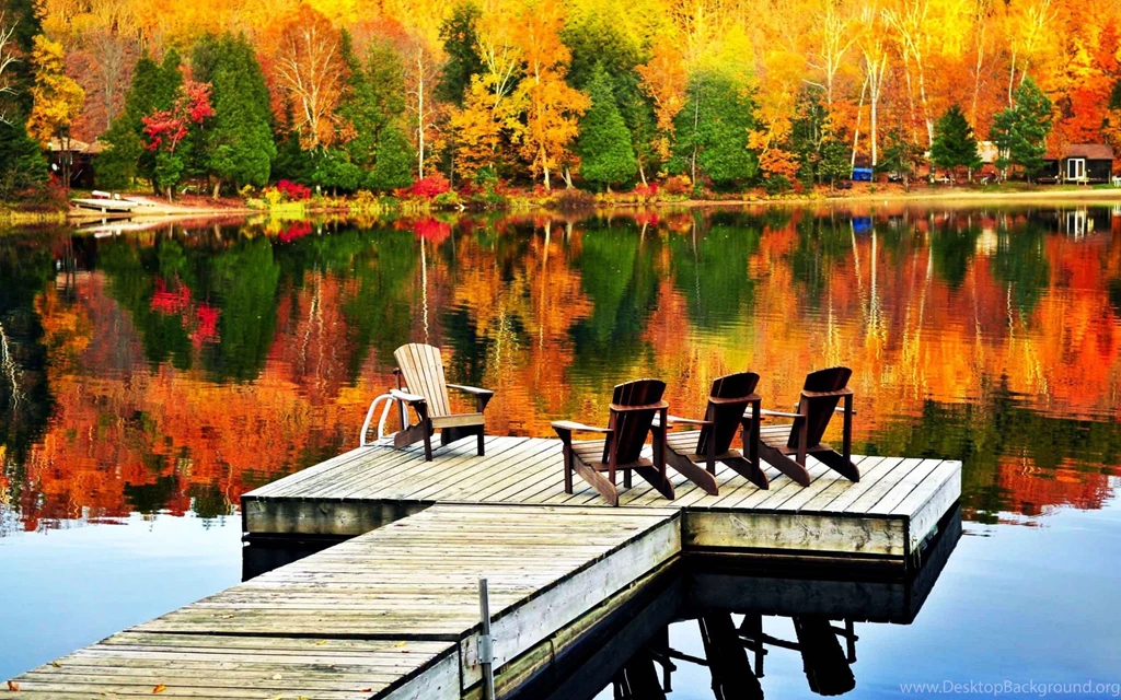 Nature, Autumn, Lake, Trees, Reflection, Wooden Chair, Peace