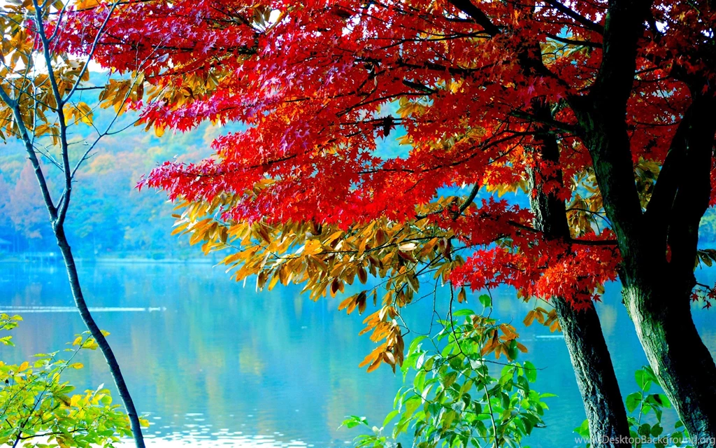 Autumn Lake Wallpapers