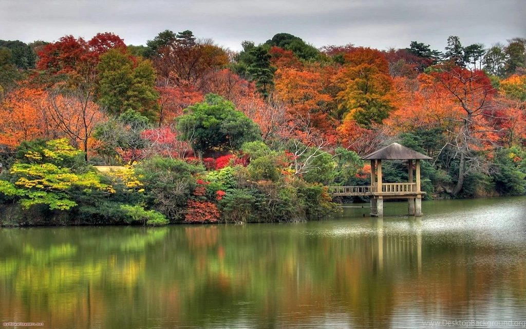 Autumn Nature Wallpapers 27621