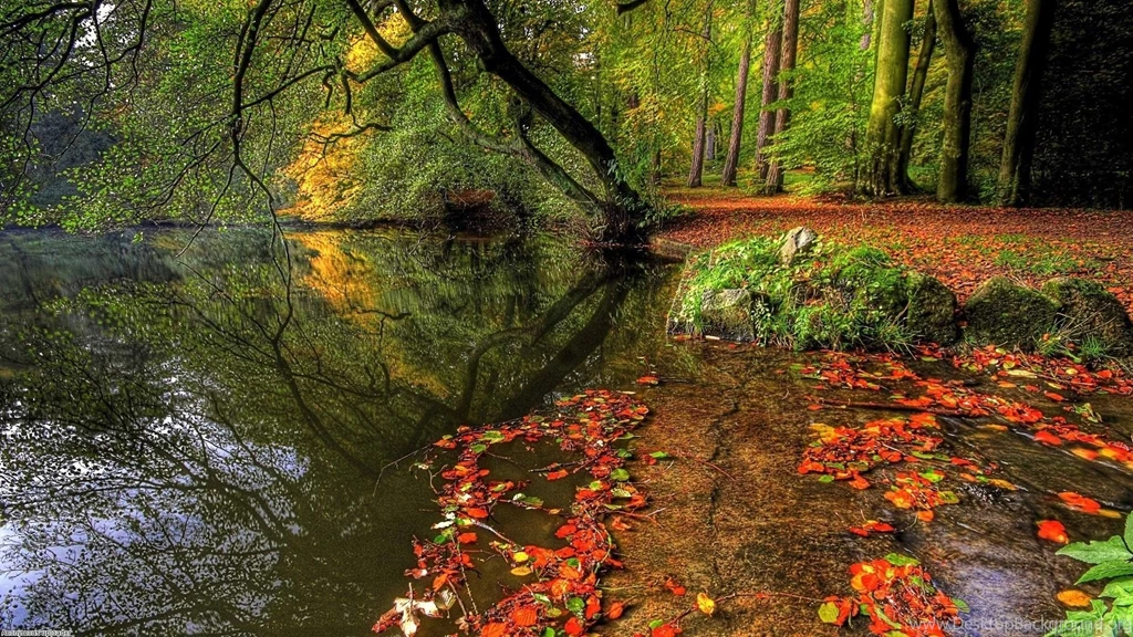 Autumn Lake Forest In High Definition Id: 3451 7HDWallpapers