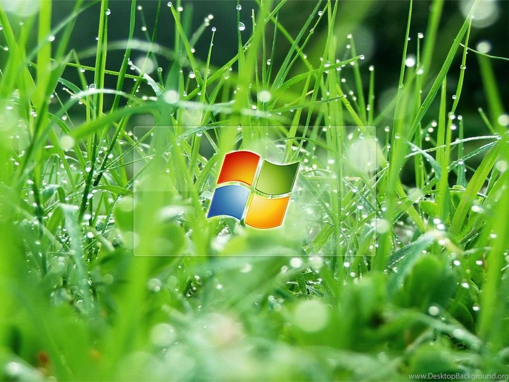 Computer%2Bwallpapers%2Bavailable%2Bdownload%2B7.jpg