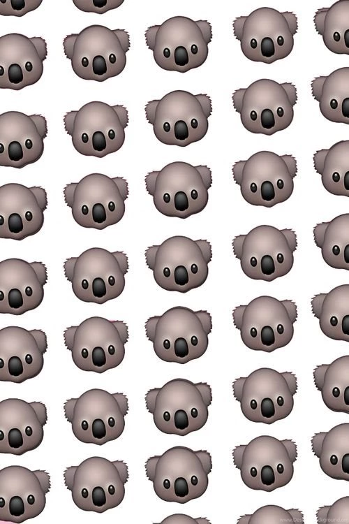 Cocokoala