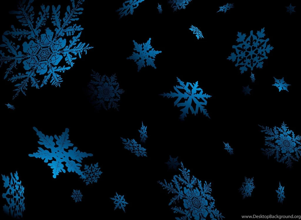 Snowflakes   (