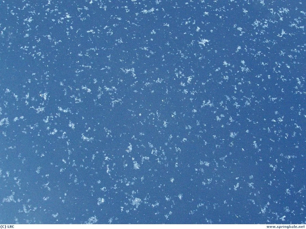 Wallpapers Snowflakes By SyeraMiktayee On DeviantArt