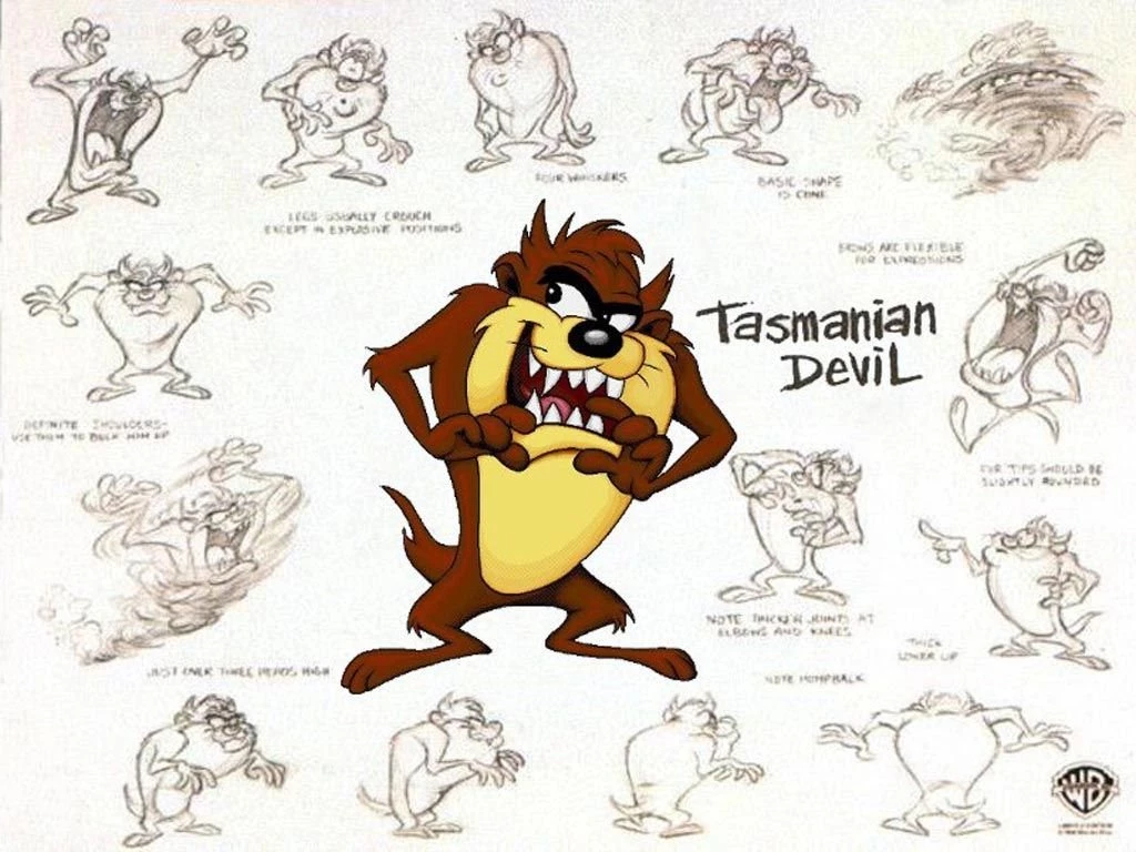 TAZ The Tasmanian Devil Wallpapers : Wallpapers 11