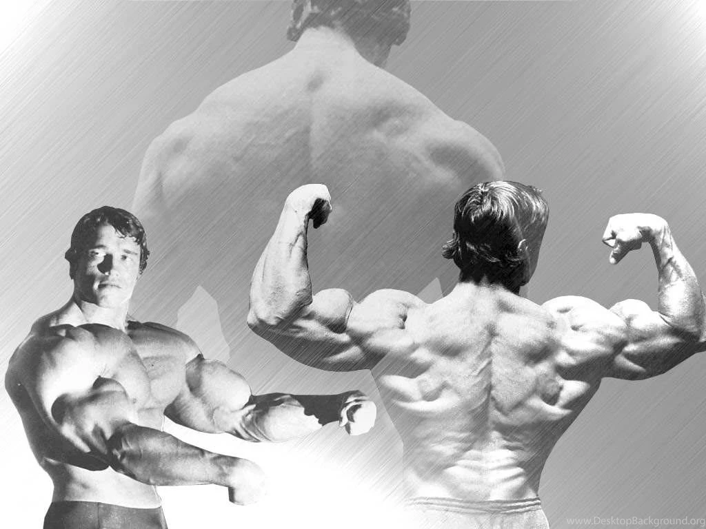 Download Free HD Wallpapers : Arnold Schwarzenegger Conquer ...