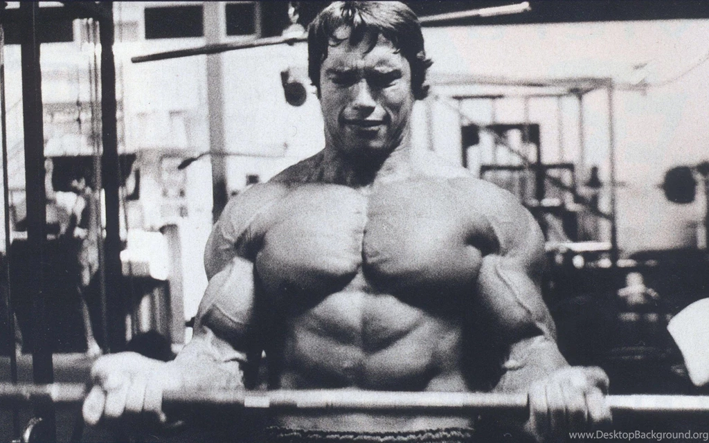 Arnold Schwarzenegger Computer Wallpapers, Desktop Backgrounds ...