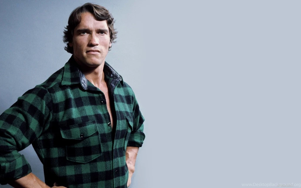 Arnold Schwarzenegger Computer Wallpapers, Desktop Backgrounds ...