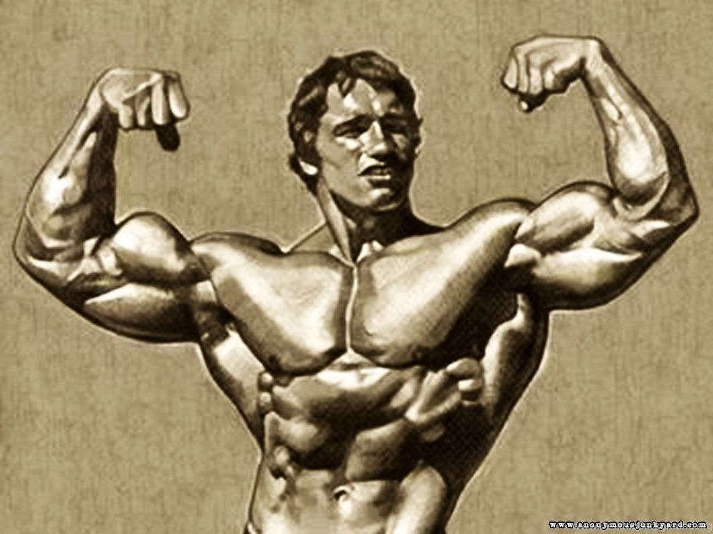 Kane Blog Picz: Arnold Schwarzenegger Wallpapers 1280