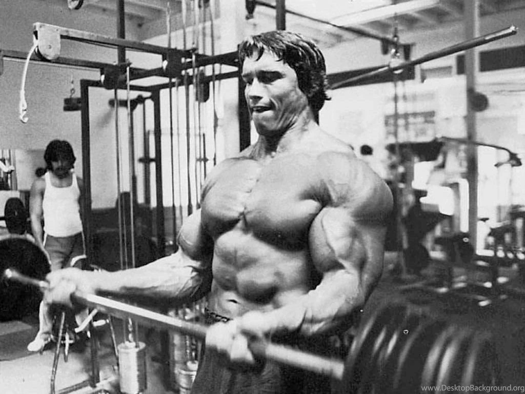 Arnold Bodybuilding HD Wallpapers