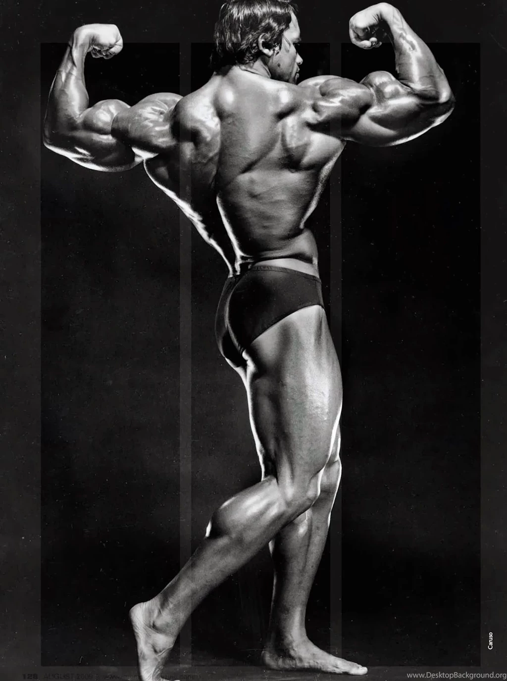 Arnold Schwarzenegger Bodybuilding Wallpaper.