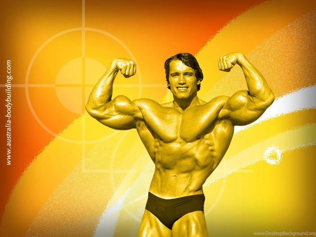 Arnold Schwarzenegger Wallpapers Wallpapers Cave