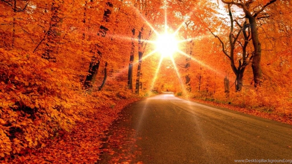 55+ Most Trendy Pretty Wallpapers HD   Over The Top Mag