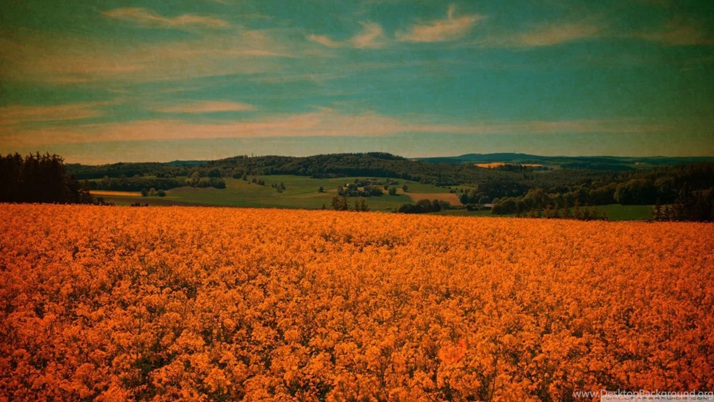 Vintage Desktop Wallpapers Vintage desktop wallpaper Desktop wallpapers vintage Vintage Wallpapers 29.jpg