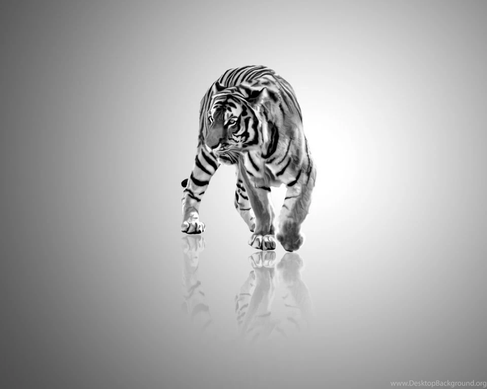 Gallery For Black And White Abstract Art Wallpapers