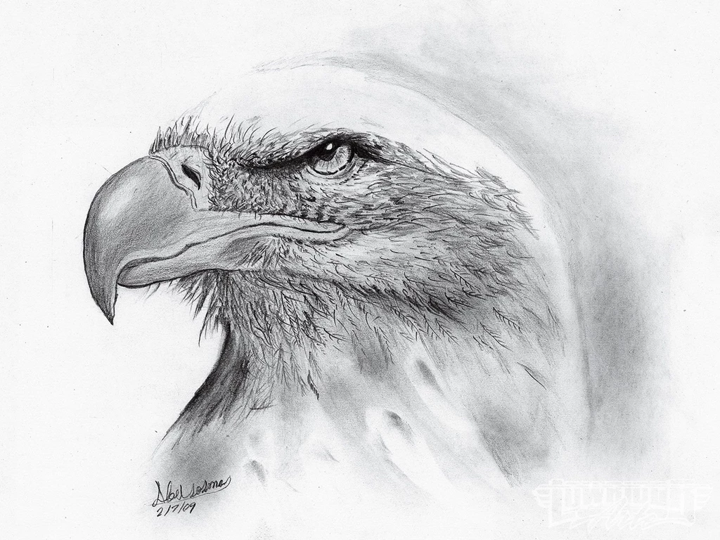 Black And White Drawings 9 Hd Wallpapers Hdblackwallpaper.com