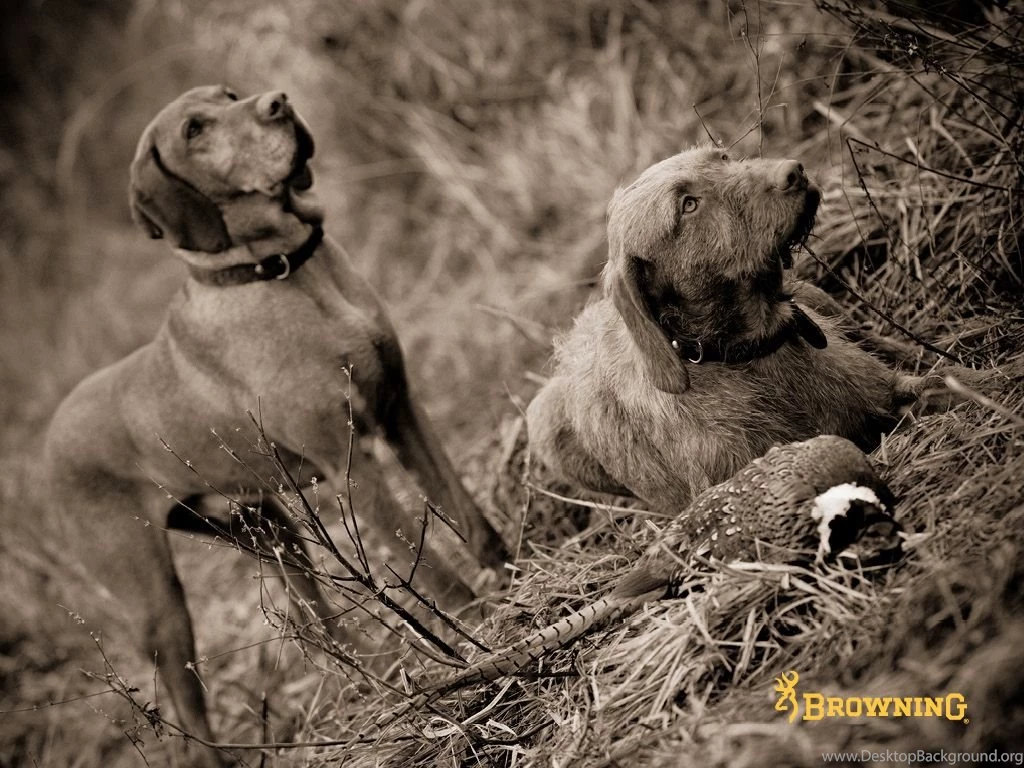 Browning International   Wallpapers