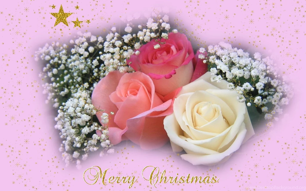 Widescreen Christmas Wallpapers Roses And Stars