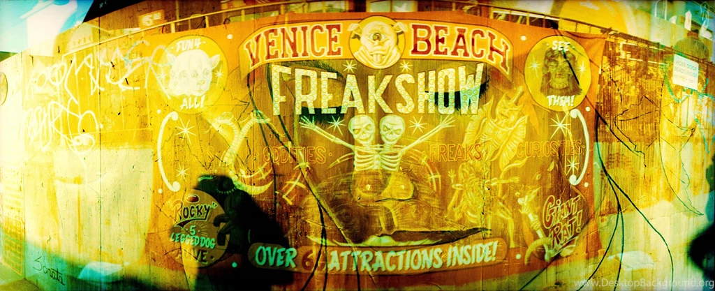 Freak Show Wallpapers And Images Wallpapers, Pictures, Photos
