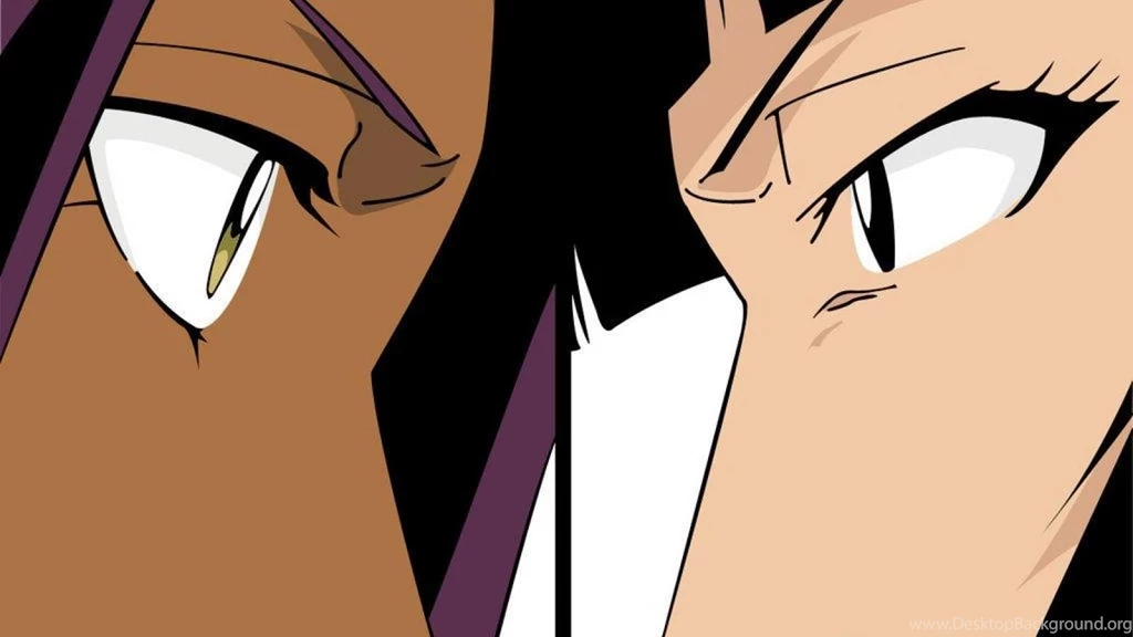 Yoruichi Shihouin And Soi Fon (