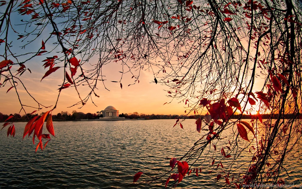 Jefferson Memorial Washington Dc Wallpapers