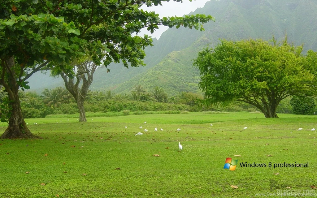 Top 10 Windows 8 Wallpapers