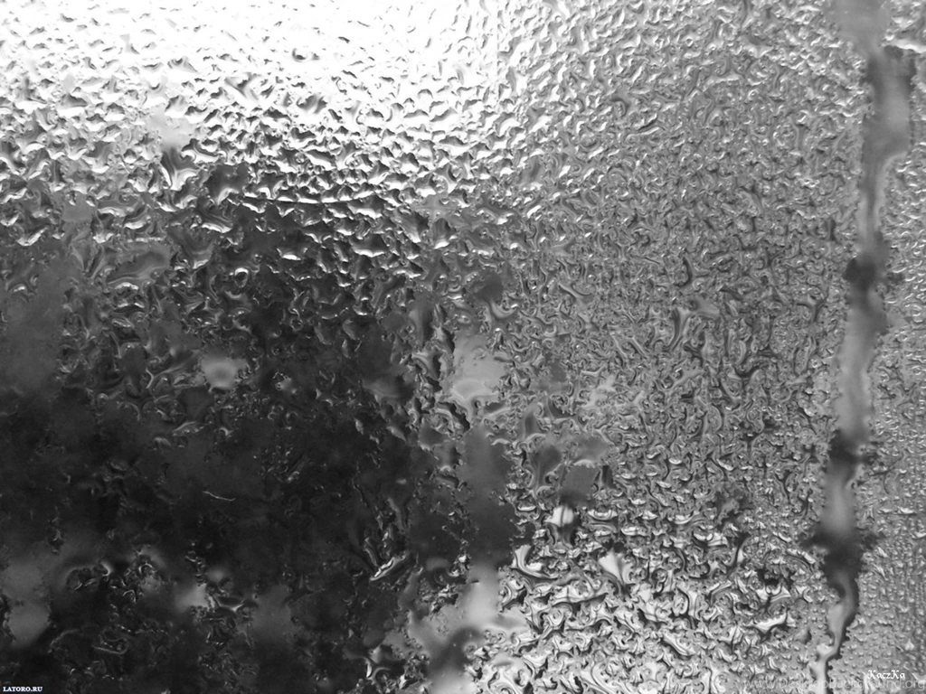 Rain Drops Wallpapers (