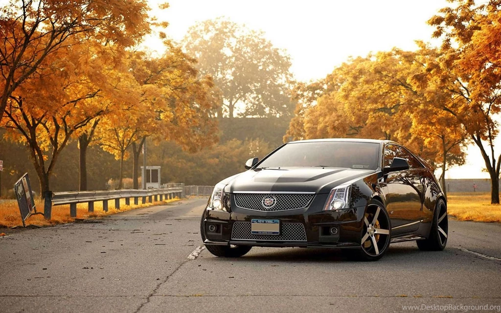 Cadillac CTS V Modern Muscle Car Wallpapers Collection Pictures ...