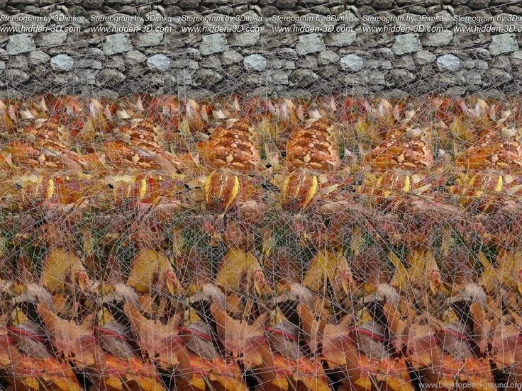 Magic Eye On Pinterest
