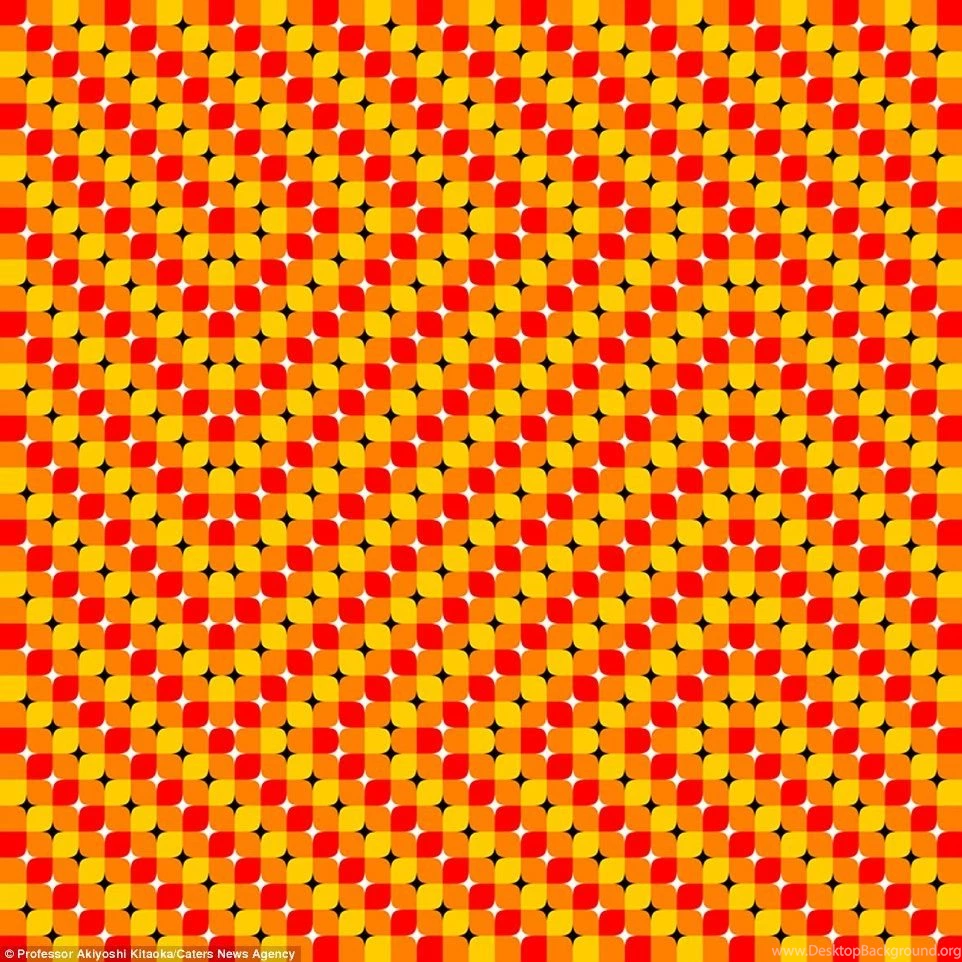 The Stomach churning Optical Illusions That Are So Trippy They ...