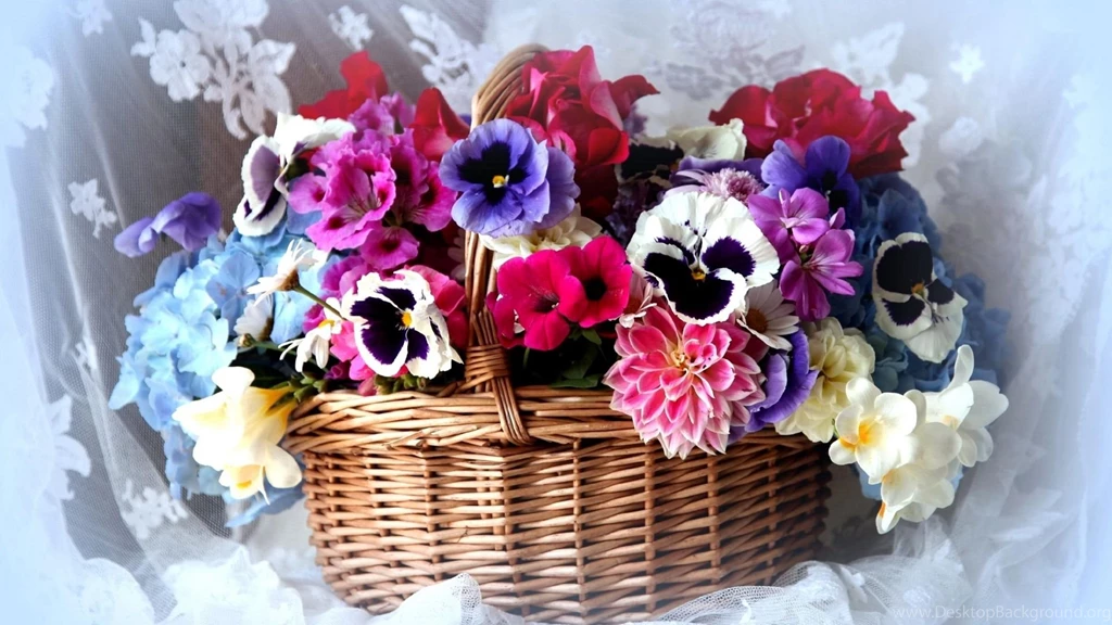 Download Wallpapers 1920x1080 Pansy, Dahlia, Petunia, Flowers ...