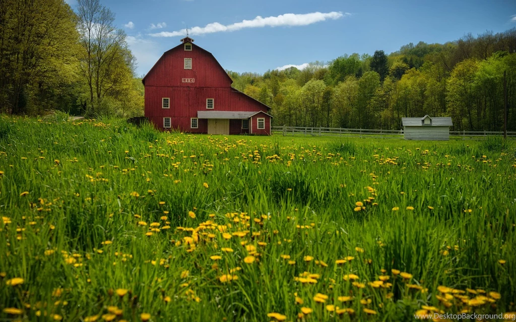 Pic > Barn Backgrounds