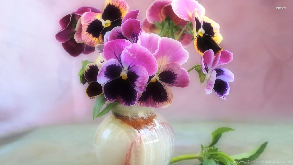 Pansies In A Vase Wallpapers   Flower Wallpapers