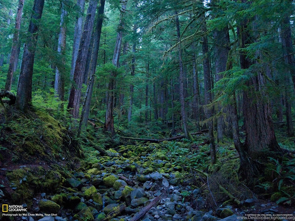 50+ Breathtaking National Geographic Nature Wallpapers [HD]