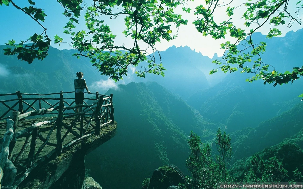 Summer Nature Wallpapers   Crazy Frankenstein