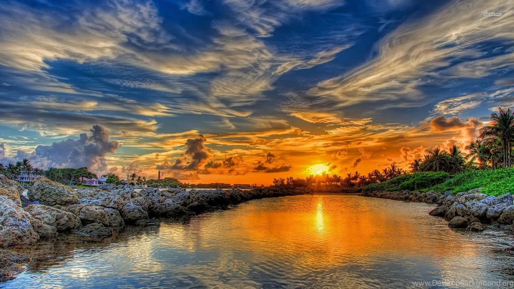 Breathtaking Golden Sunset Behind The Palm Trees Wallpapers ...