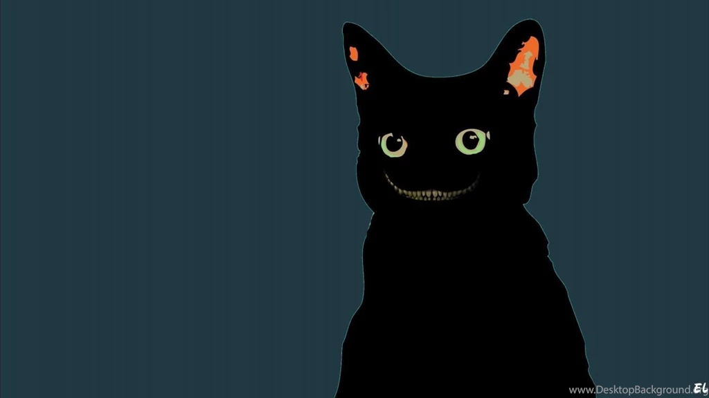 Black Cat Wallpapers 2560x1440 (